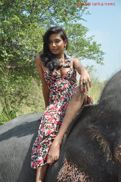 best of Tree lankan humping girl